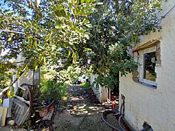 Foto 1 Venta de casas/chalet en Lucainena de las Torres, Los Olivillos